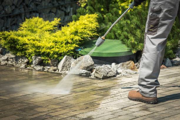 Best Pool Deck Cleaning in Walford, IA
